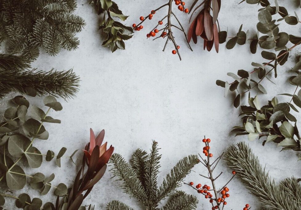 assorted-type of leaves lying on white panel