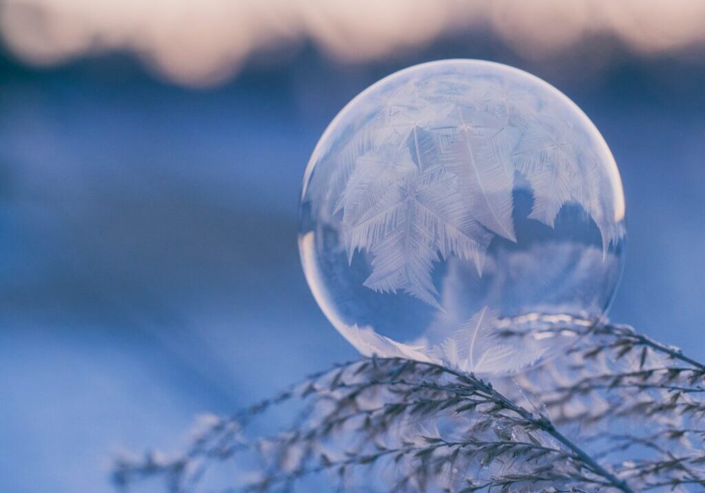 shallow focus photography of bubble on leaves