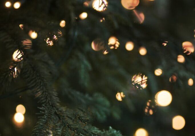 green christmas tree with string lights
